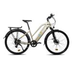 Bicicleta de Paseo Eléctrica - NEOMOUV RAIPON